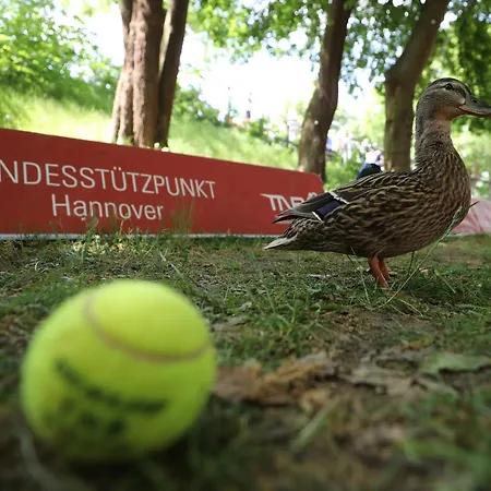 Tennisbase Habitación en casa particular *